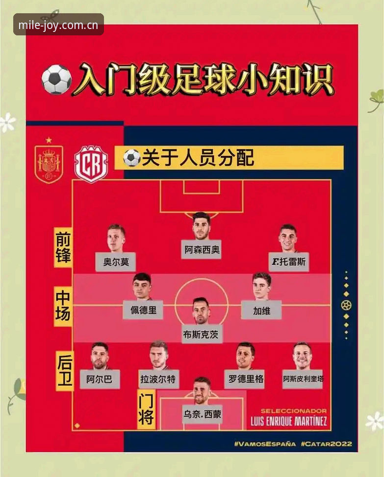 米乐官网地址安装失败 看懂世界杯观赛受阻背后的签证难题,这份实用指南帮你避开雷区
