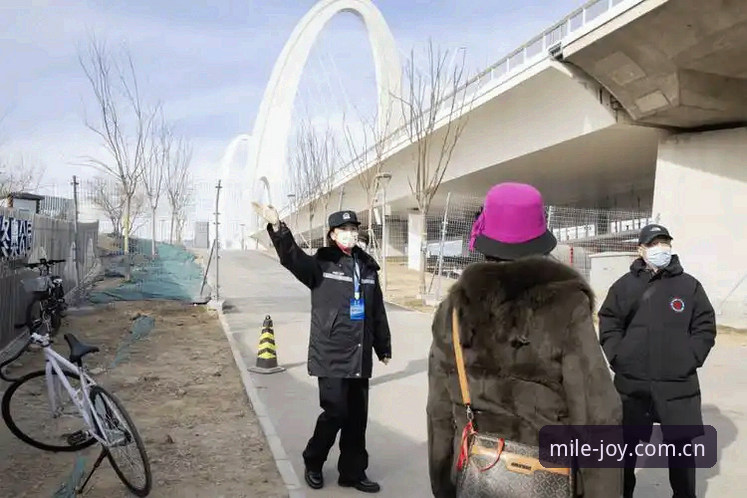 赛事安保策略观察：英国警员赴美人数缩减的完整分析指南